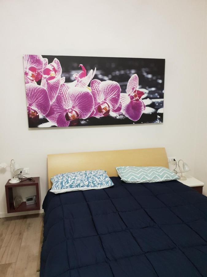卡斯泰纳索A Casa Di Elsa公寓 外观 照片