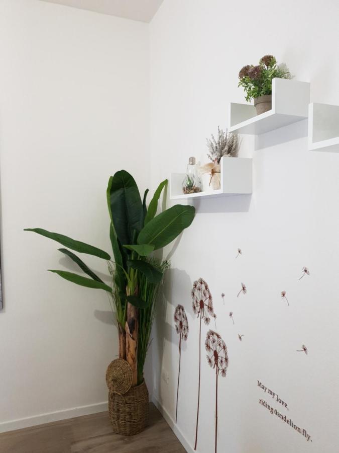 卡斯泰纳索A Casa Di Elsa公寓 外观 照片