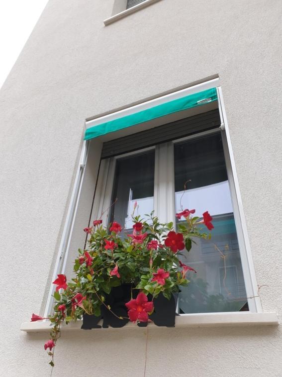 卡斯泰纳索A Casa Di Elsa公寓 外观 照片